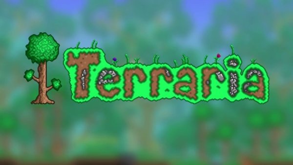 Terraria надпись