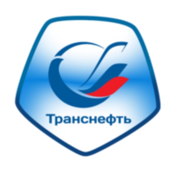 Транснефть охрана логотип