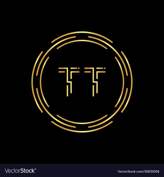 CT TT logo vector