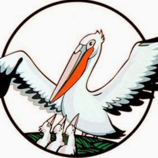 Пеликан учитель года эмблема