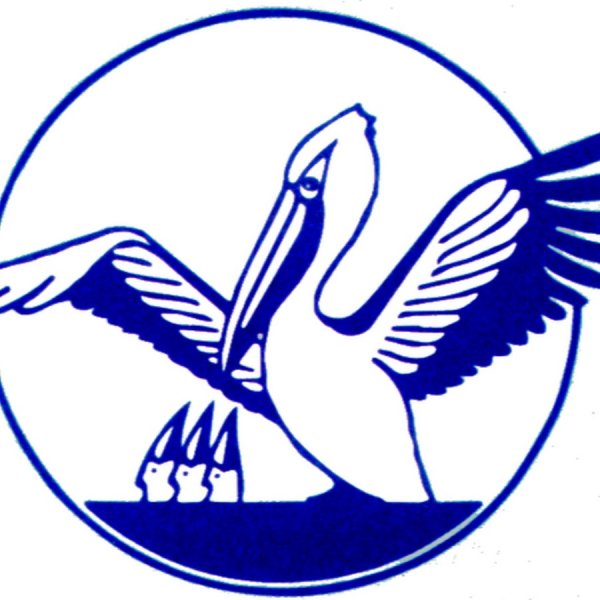 Символ учитель года Пеликан