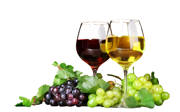 Вино на белом фоне