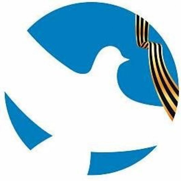 Символ волонтеры Победы