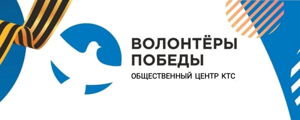 Символ волонтеры Победы