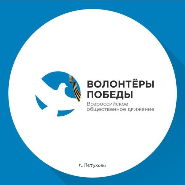 Волонтеры Победы эмблема