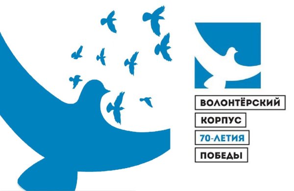Голубь волонтеры Победы