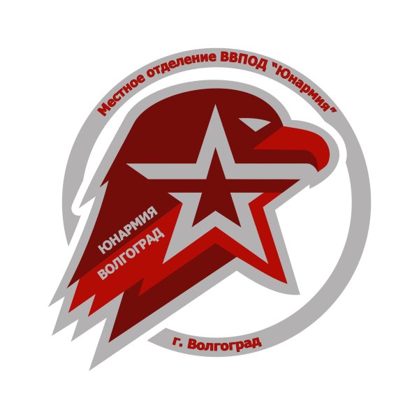 Юнармия символика