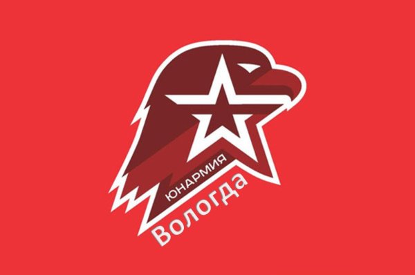 Флаг Юнармия