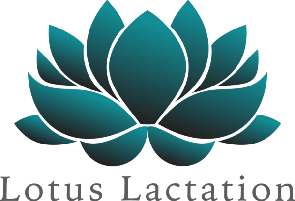 Цветок лотоса логотип