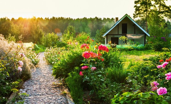 Летняя дача