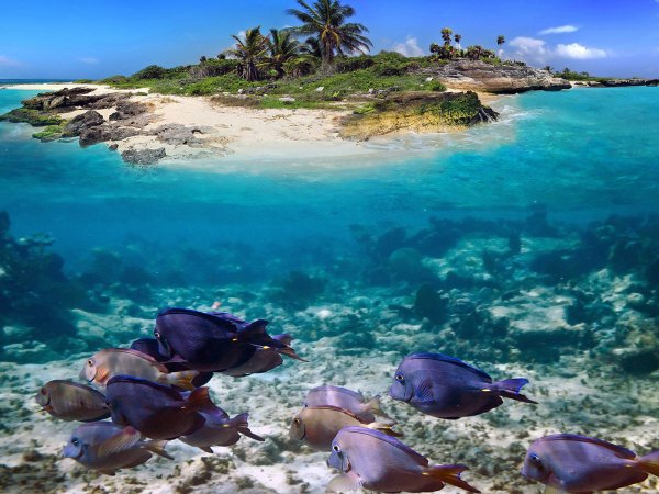 Морское дно