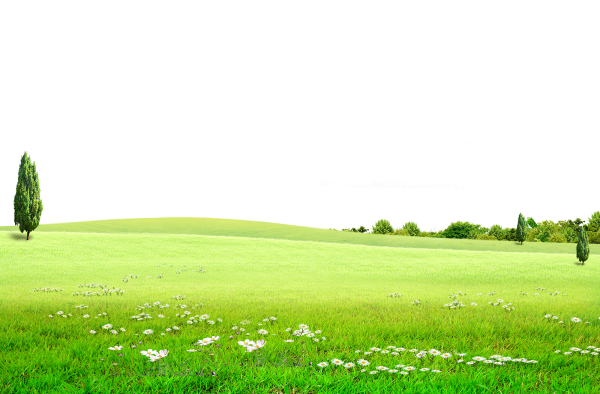 Фон Полянка