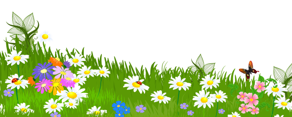 Рисование цветов и травы на лужайке