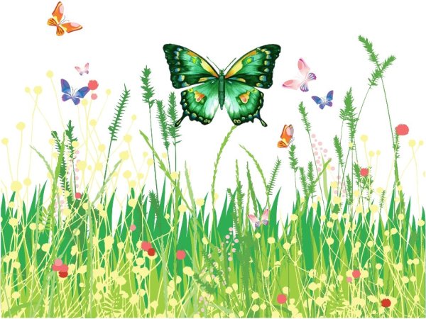 Лужайка с цветами и бабочками