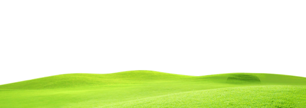 Поляна на прозрачном фоне