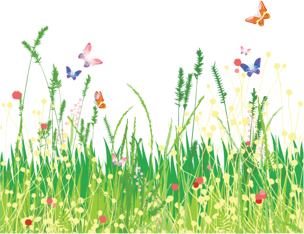 Лужайка с цветами для детей