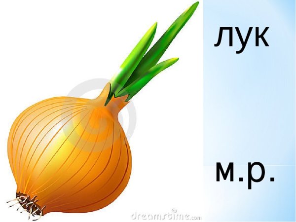 Маска лук