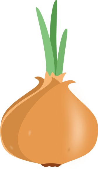 Лук репчатый вектор