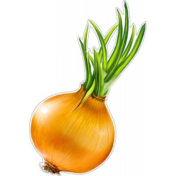 Лук для дошкольников