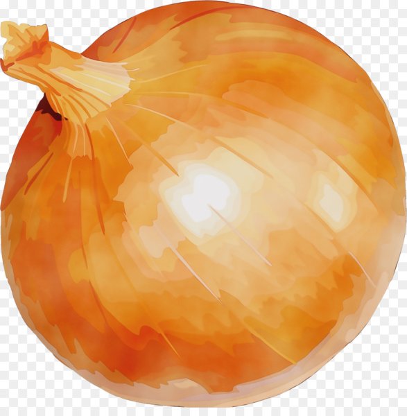 Луковица на прозрачном фоне