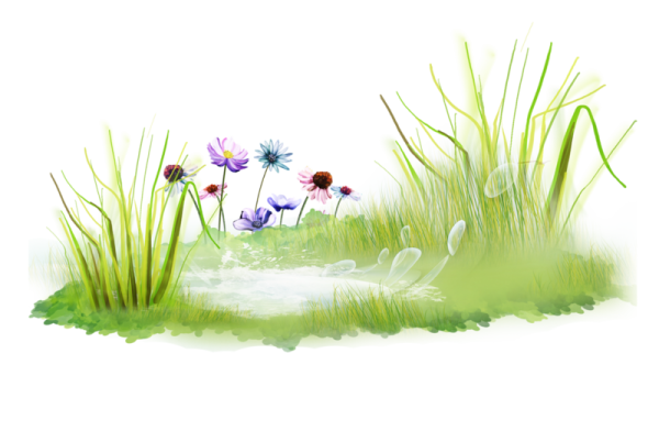 Летние травы для детей