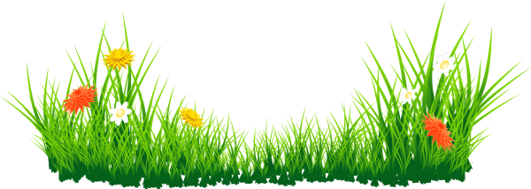 Травка с цветочками