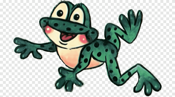 Лягушка квакушка на прозрачном фоне