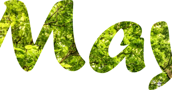 Май надпись красивая