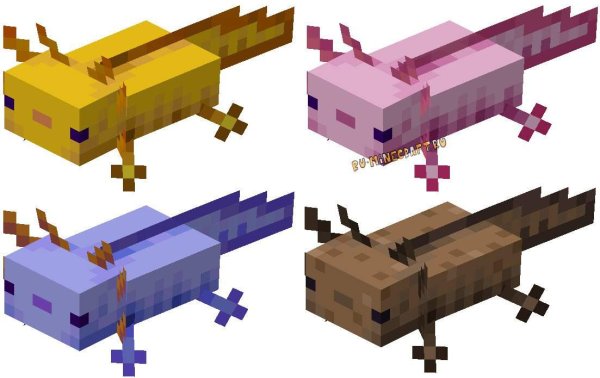 Голубой аксолотль майнкрафт