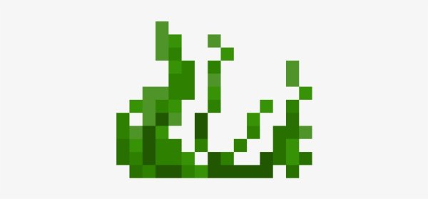 Kelp майнкрафт