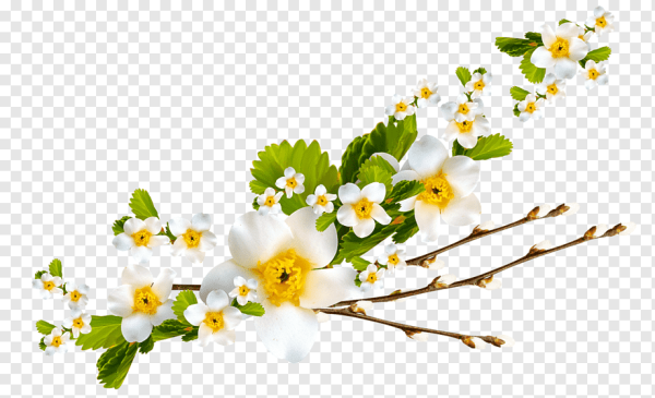 Ветка с цветами