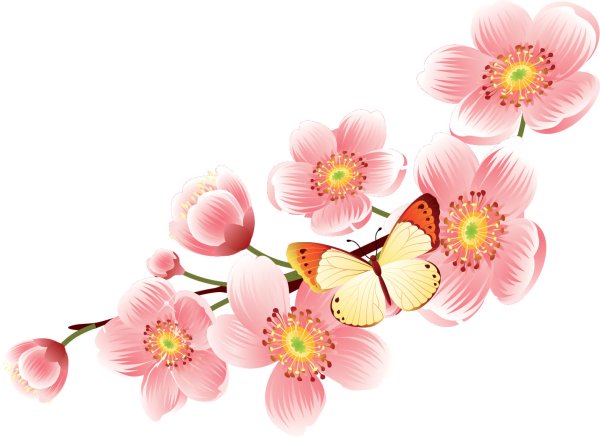 Клипарт цветы на прозрачном фоне