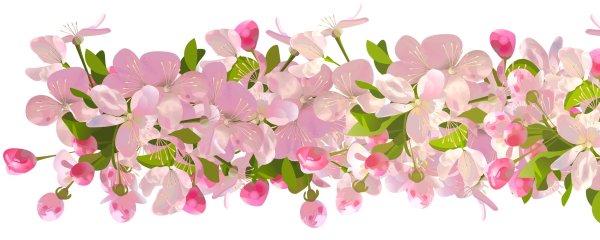 Цветы горизонтальные