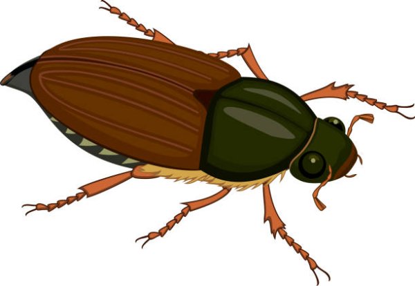 Майский Жук мульт