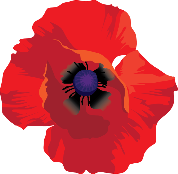 Мак клипарт на прозрачном фоне