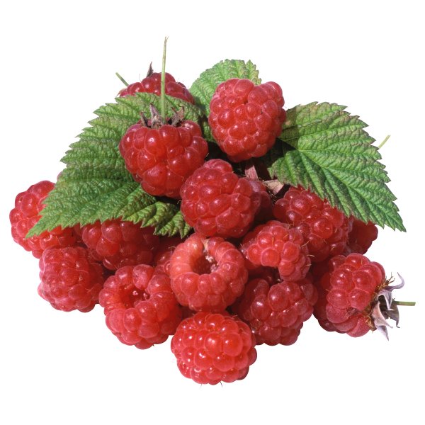 Лесные ягоды