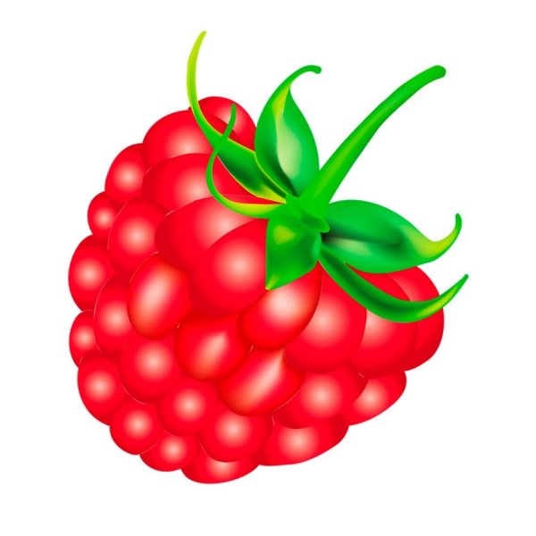 Малина для детей