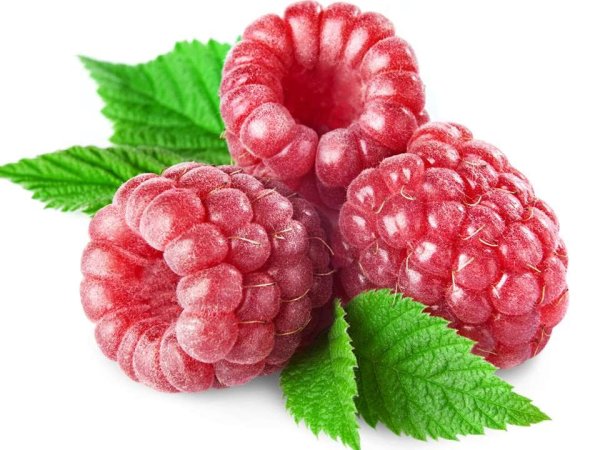 Малина без фона