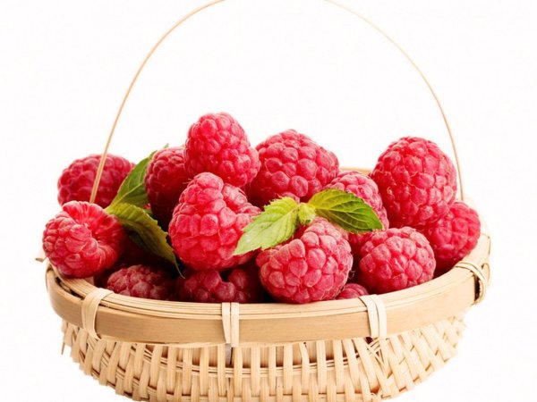 Малина фото