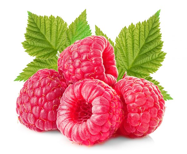 Ягодка Малинка на белом фоне