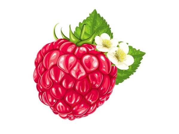 Ягода Малинка для детей