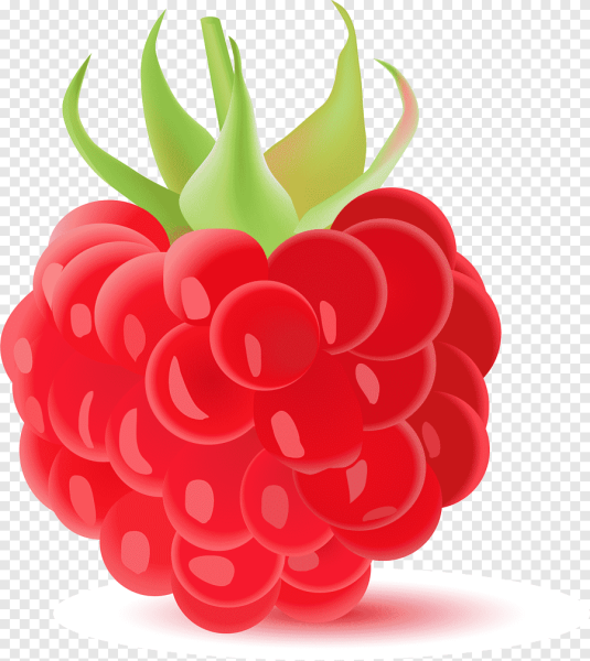 Малина рисунок