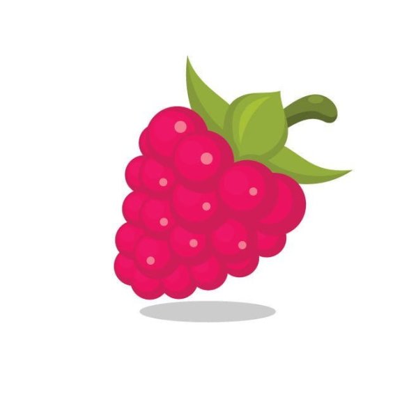 Малина в иллюстраторе