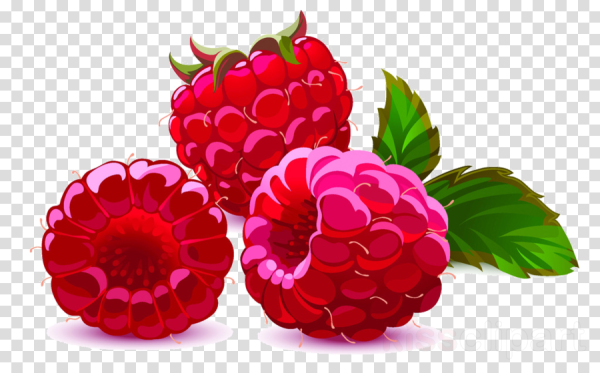 Малина стикер