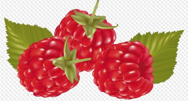 Малина картинка для детей