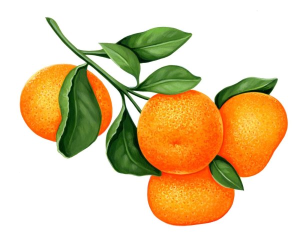 Мандарин картинка для детей