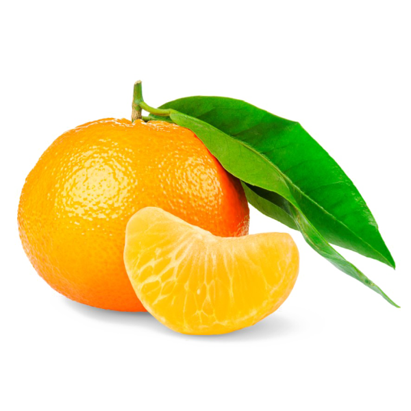 Мандарины на белом фонн