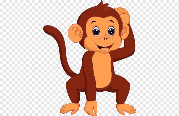 Обезьяна на белом фоне для детей