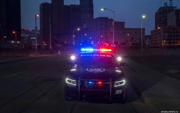Dodge Charger Pursuit 2018