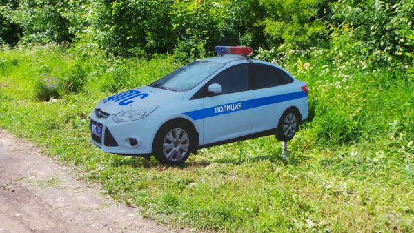 Муляж патрульного автомобиля ДПС